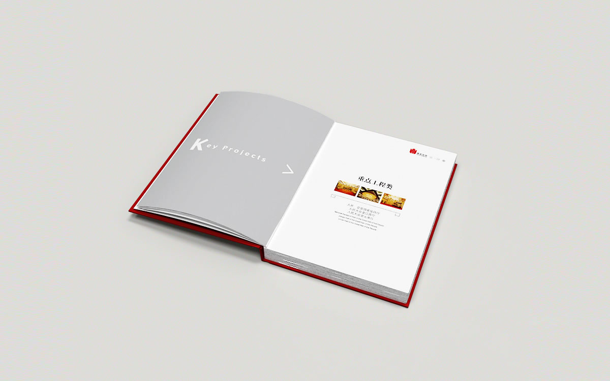 維業(yè)裝飾商標(biāo)設(shè)計(jì),維業(yè)裝飾logo設(shè)計(jì),維業(yè)裝飾畫冊(cè)設(shè)計(jì)