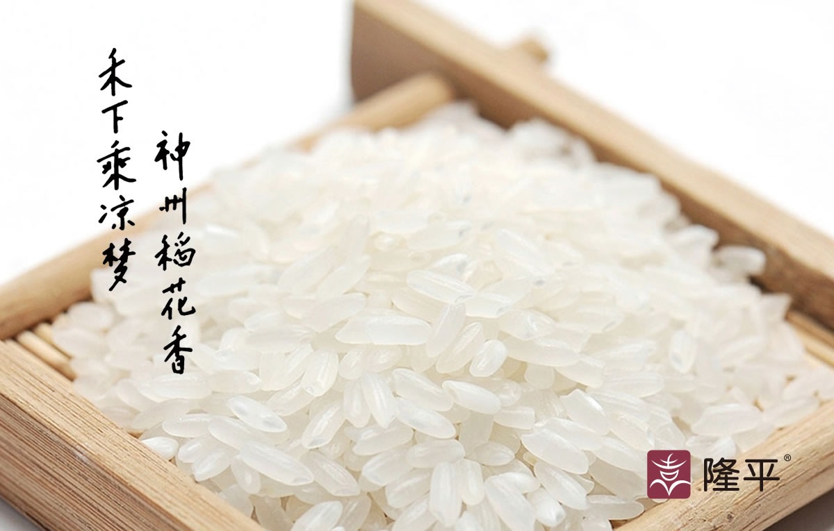 隆平大米商標(biāo)設(shè)計(jì),隆平大米logo設(shè)計(jì),隆平大米畫冊(cè)設(shè)計(jì)