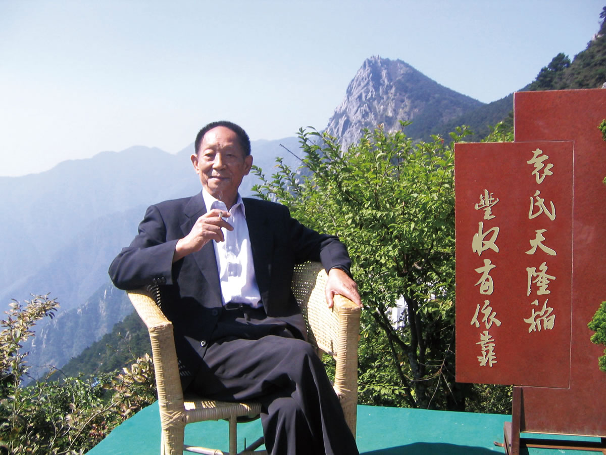 隆平大米商標(biāo)設(shè)計(jì),隆平大米logo設(shè)計(jì),隆平大米畫冊(cè)設(shè)計(jì)