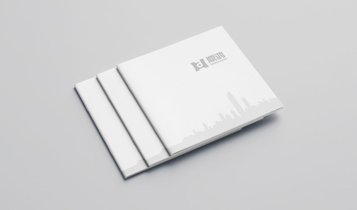 鼎鴻,深圳鼎鴻發(fā)展顧問有限公司,鼎鴻畫冊策劃設(shè)計