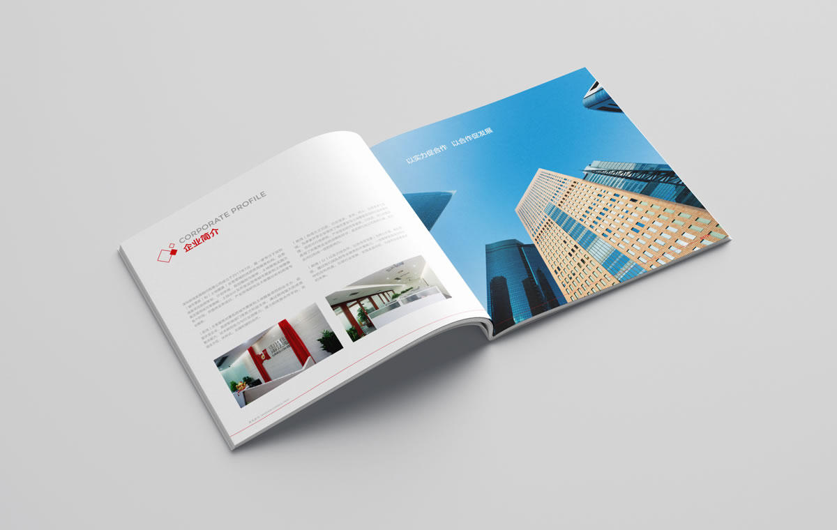 鼎鴻,深圳鼎鴻發(fā)展顧問有限公司,鼎鴻畫冊策劃設(shè)計