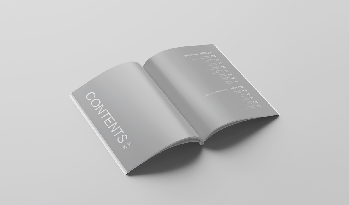 雄獅景觀畫冊設(shè)計,雄獅景觀標志設(shè)計,雄獅景觀品牌形象設(shè)計,雄獅景觀LOGO設(shè)計