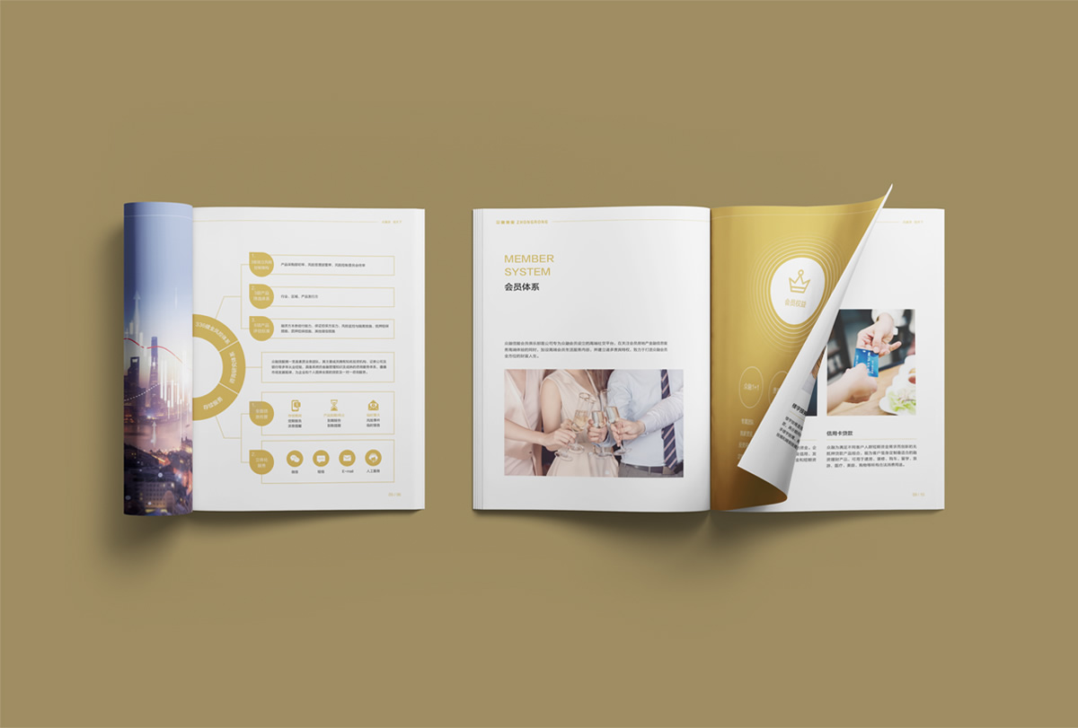 眾融信服畫冊(cè)設(shè)計(jì),眾融信服冊(cè)子設(shè)計(jì),企業(yè)畫冊(cè)設(shè)計(jì),品牌畫冊(cè)設(shè)計(jì)